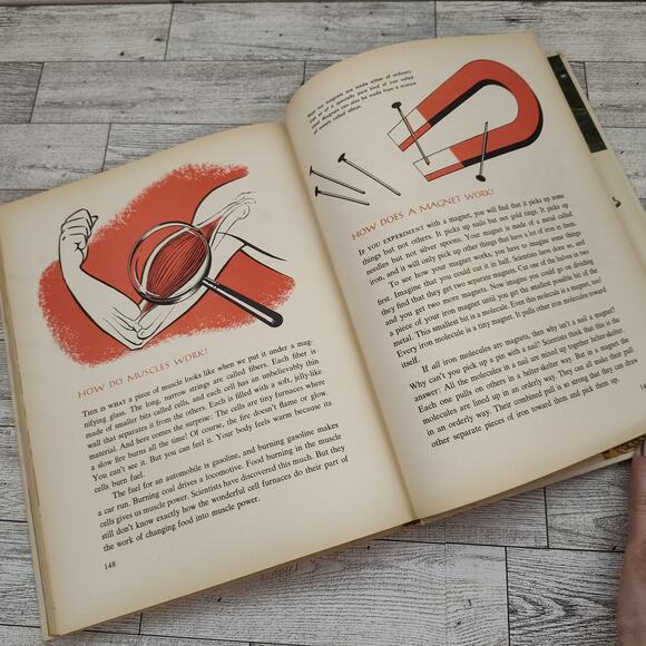 The Answer Book 300 Questions Children Ask Most Often - Mary Elting HC Book 1963 - Picture 8 of 15